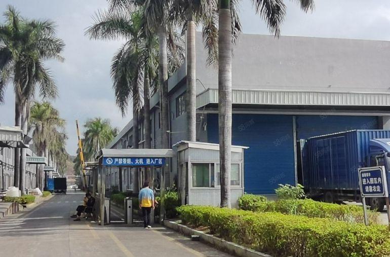 龙溪大道原房东单一层厂房便宜出租，可分租