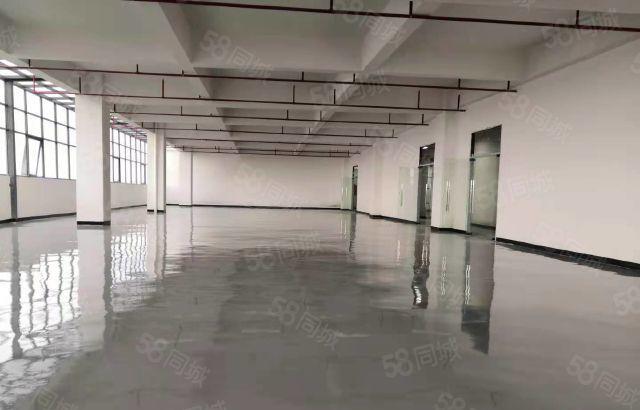 博罗园州原房东标准厂房出租证件齐全大小可分