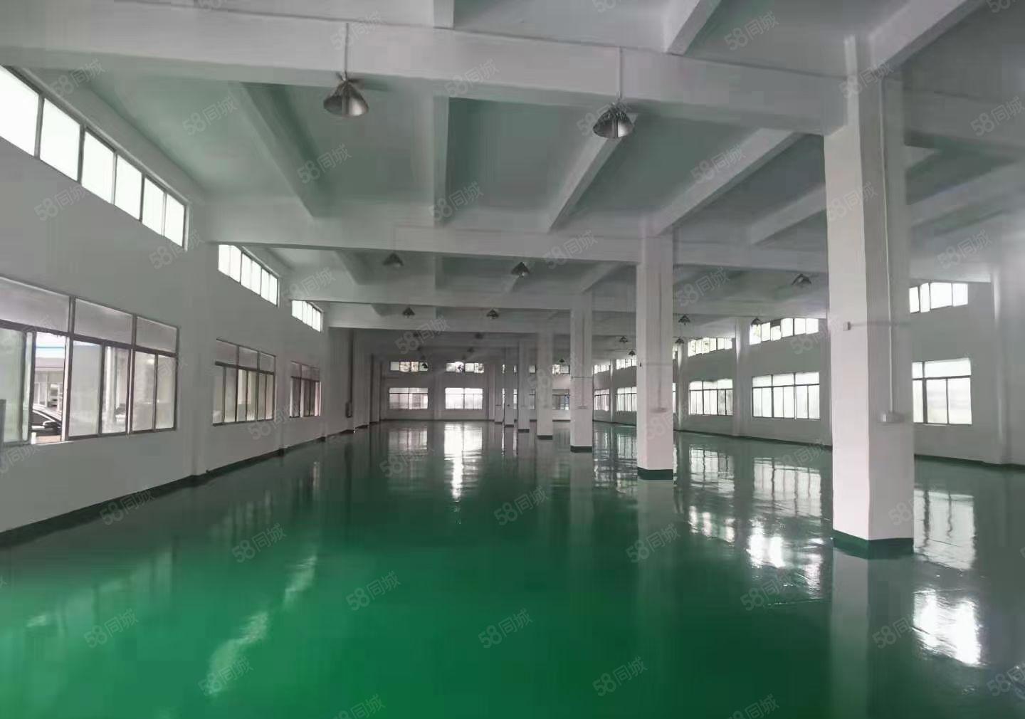 惠州市博罗县石湾镇科技园4800平方独户独门独院标准厂房出租