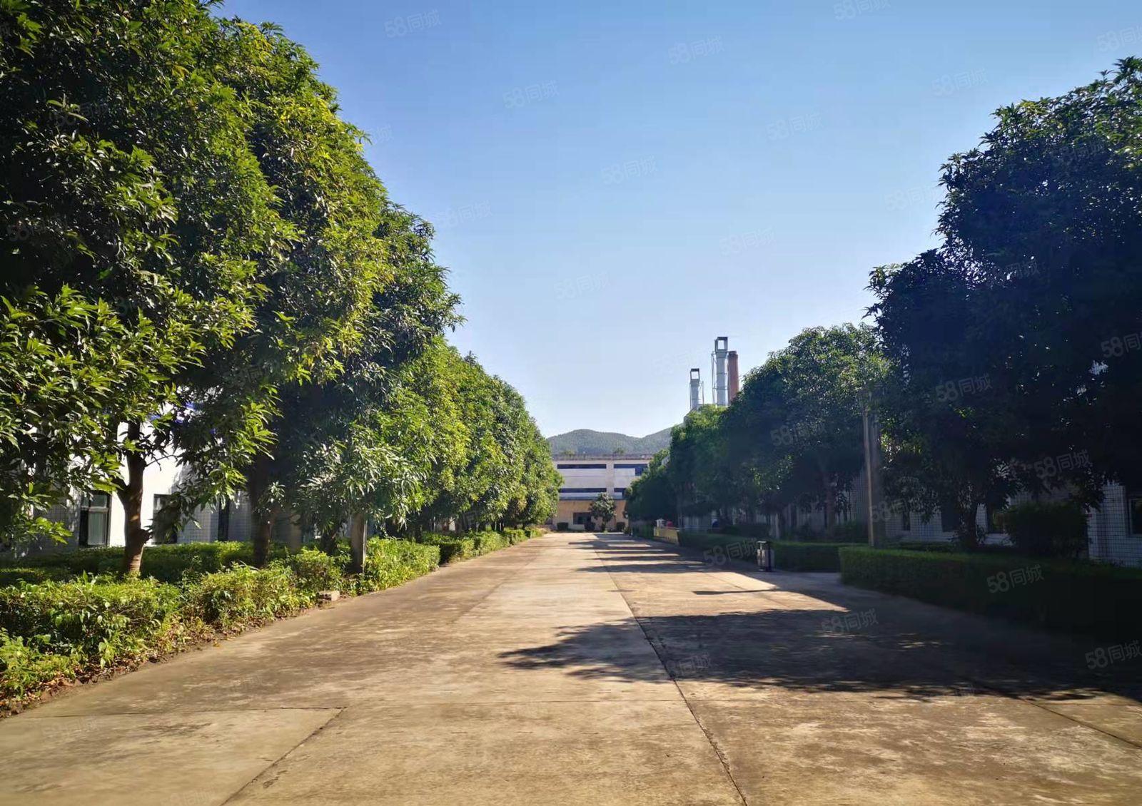 博罗龙华国道边上可办环评10米高单层厂房 1000平方起租