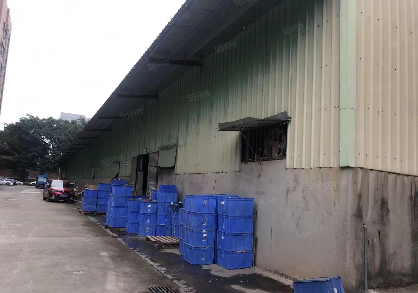 龙溪镇原房东工业园独栋单一层钢结构厂房出租