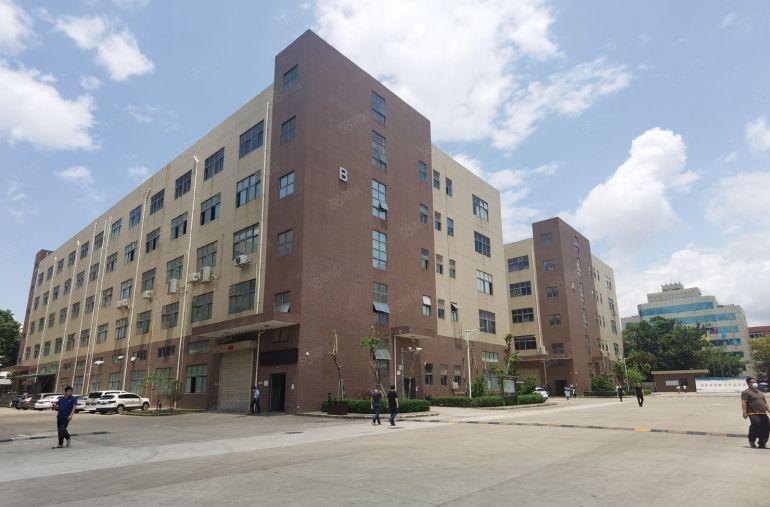 博罗园洲5000平原房东厂房仓库低价出租，200平起分租