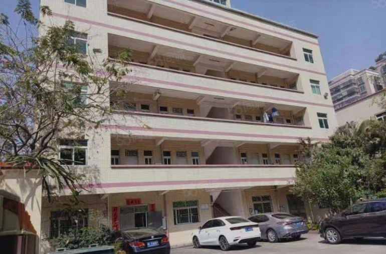 小金金龙大道边原房东全新厂房96000平方出租