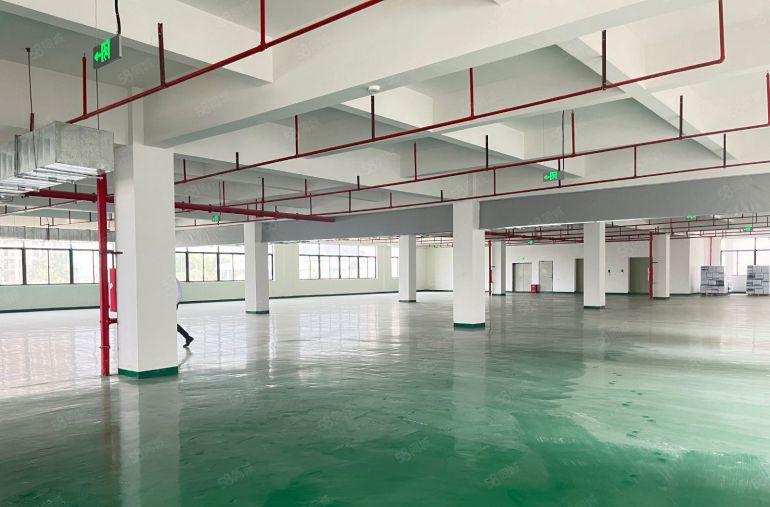 （全新厂房）罗阳7块每平全新红本厂房