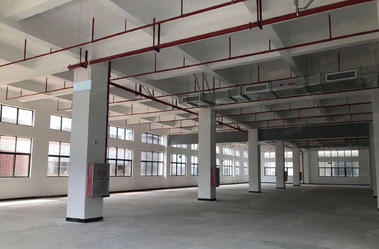 惠州石湾镇原房东独院厂房12500平出租带红本实量面积12块