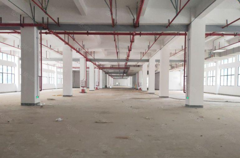 原房东8块钱，全新标准厂房单层4800平，车间长度160米