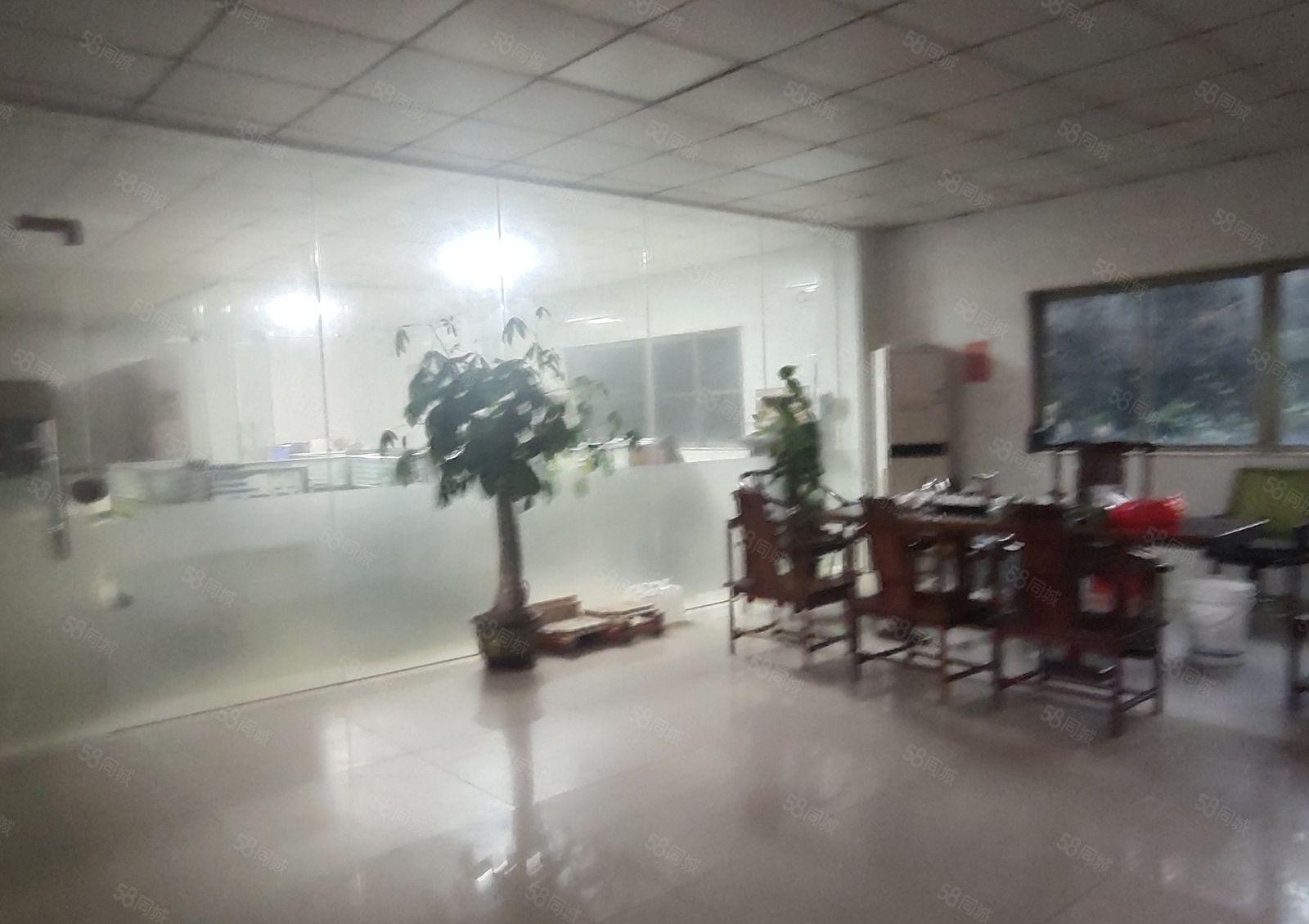 园洲镇原房东単一层独院4500平方超长免租期电可过户