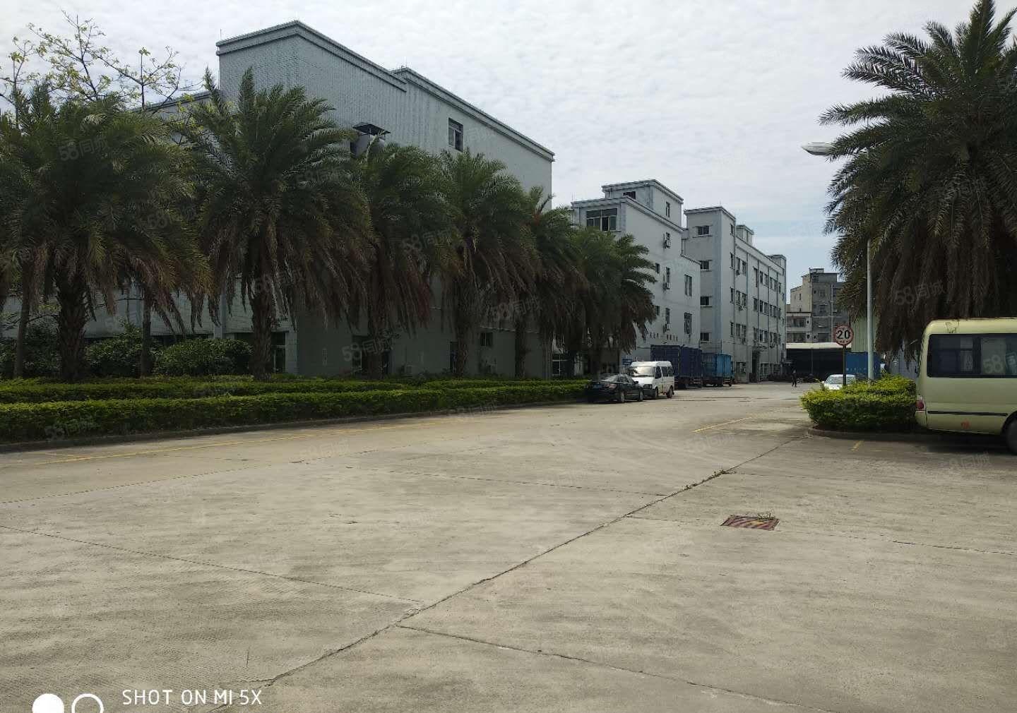 长宁镇红本双证花园式厂房出租3800平方，可分租，环评秒批。