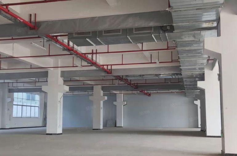 业主自租博罗园洲全新红本厂房，可分租，可办环评，形象好