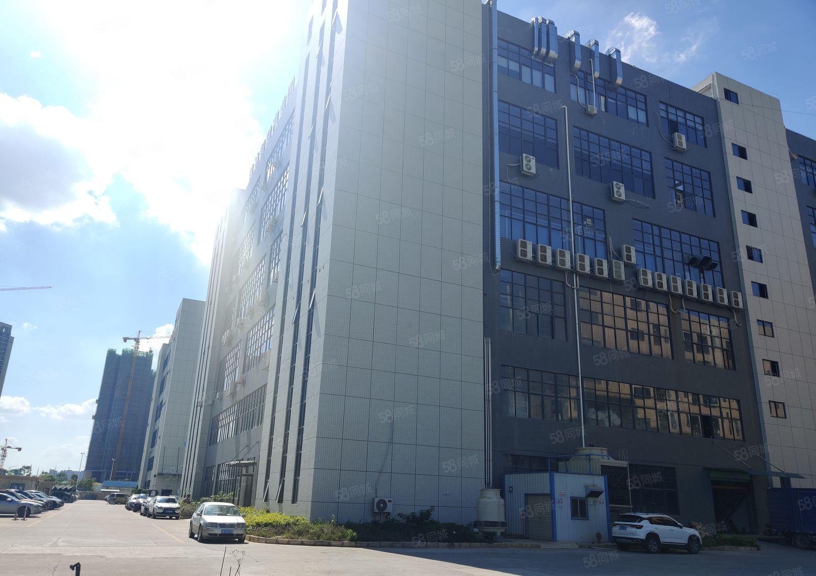 博罗园洲工业区新出厂房带装修一楼刚度10米三吨电梯带卸货平台