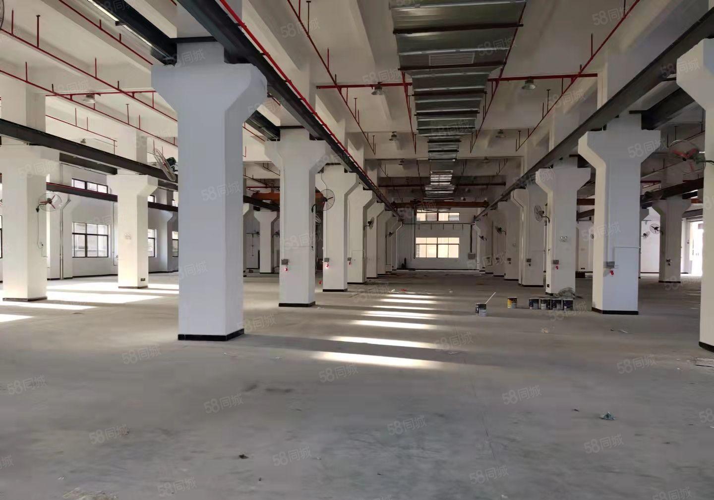 长宁镇红本双证花园式厂房出租3800平方，可分租，环评秒批。