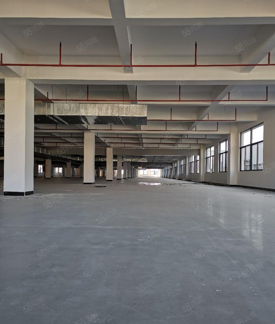 石湾大型成熟工业区1000方起租，红本独院天然气雨污分流厂房