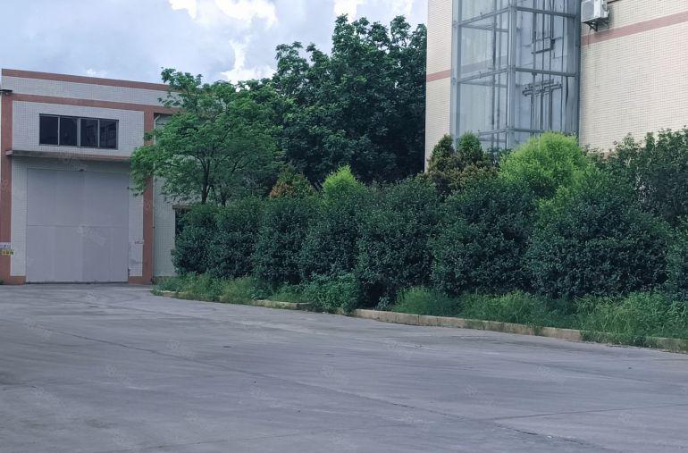 花园式带酸洗环评钢构厂房出租 分租500平方 带航车砖墙到顶