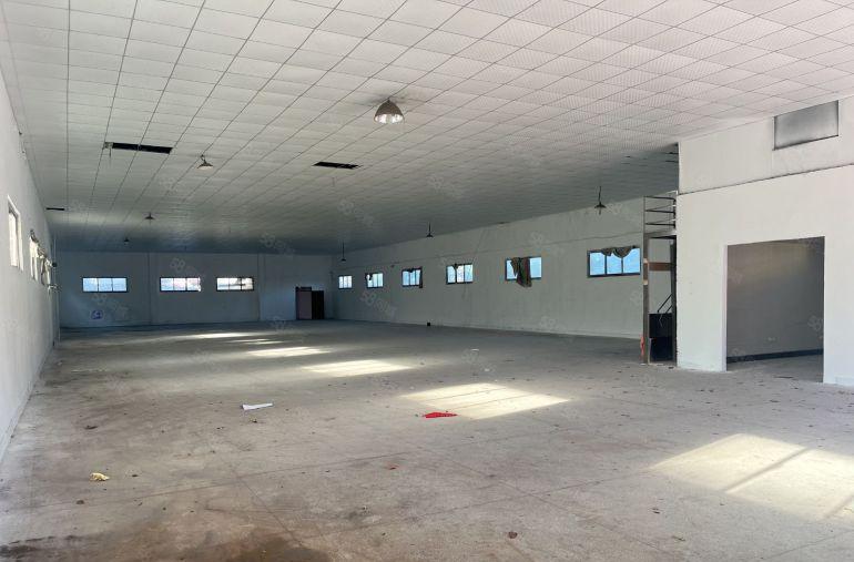圆洲厂房出租实际面积原房东厂房出租独院可做仓库出租加工等行