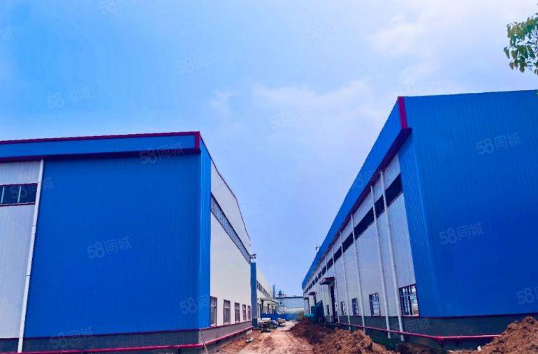 800平方起租，园洲全新10米滴水单一层钢构厂房