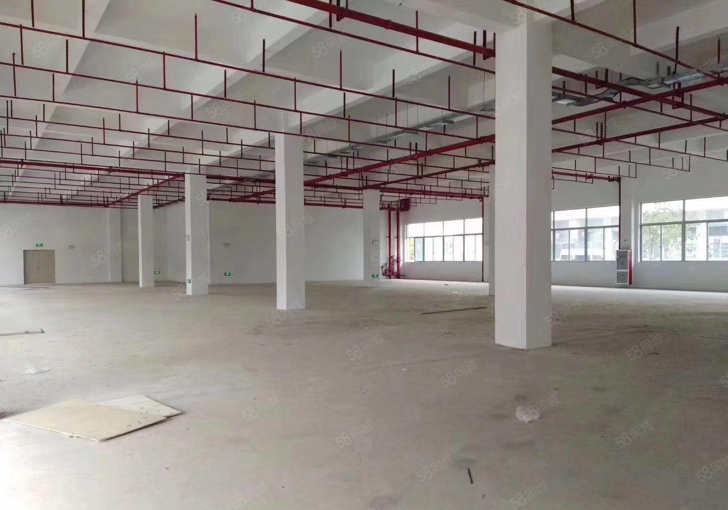 惠州市博罗县龙溪镇电镀基地附近工业园区厂房招租，300平米起