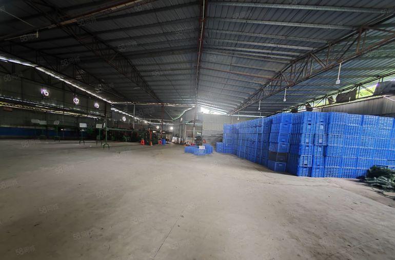 特价7块！！原房东独院厂房4000平方，现成办公室现成水电