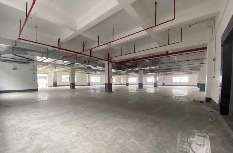 独院红本标准厂房8000平米，一楼6米高环评秒过