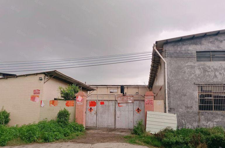 园洲原房东独院厂房出租1200平方，证件齐全可办环评交通方便