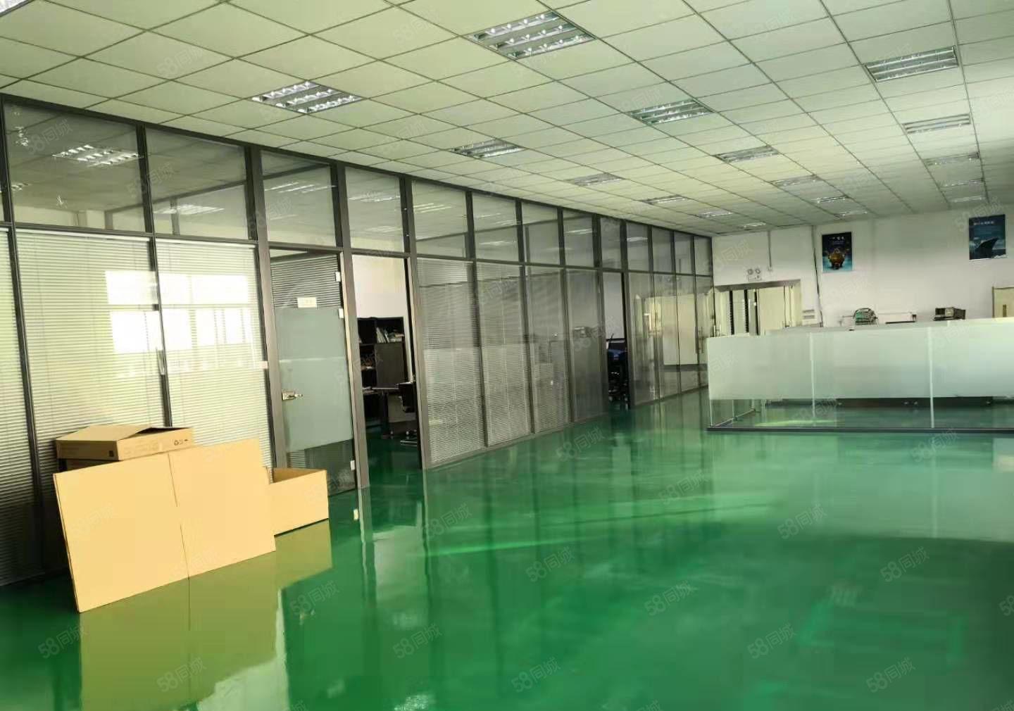 石湾镇原房东独院10000平标准厂房出租 园区空地大可办环评