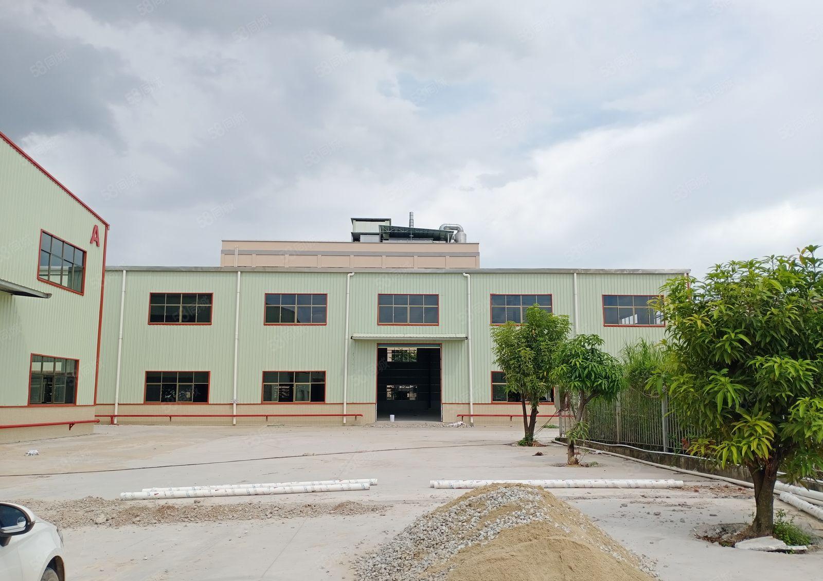 园洲镇 独院单一层钢构厂房6200平方出租，宿舍办公配套齐全