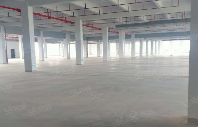 博罗石湾标准厂房出租 无行业要求 价格优惠