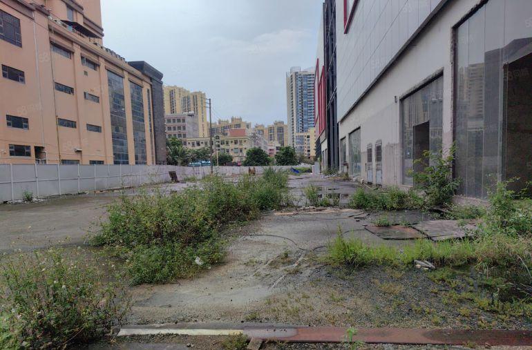 龙溪厂房出租 2000起租有空地有停车场