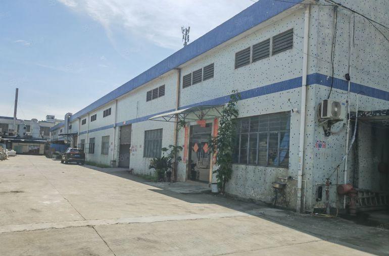 园洲原房东砖墙单一层1700平，配电150千瓦，价格便宜带办