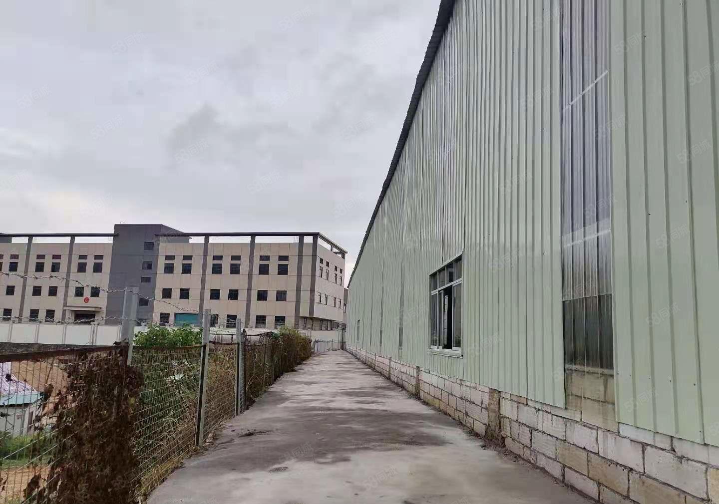 龙溪街道全新单一层1520平方招租，实际面积无公摊