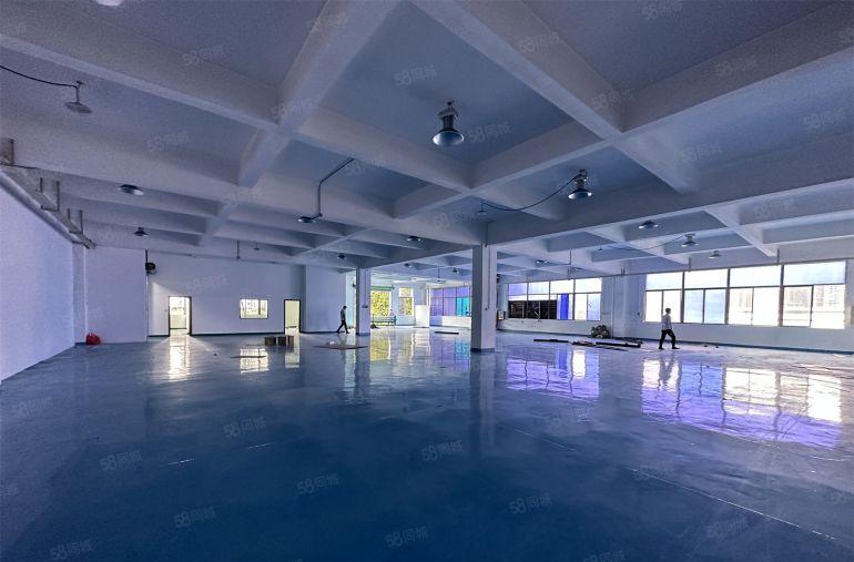 园洲新出一楼8米高标准厂房3000平方可分500重工业厂房