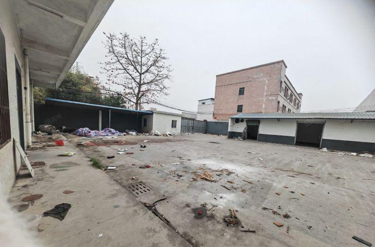 园洲原房东独门独院砖墙到顶厂房3800平，空地500平