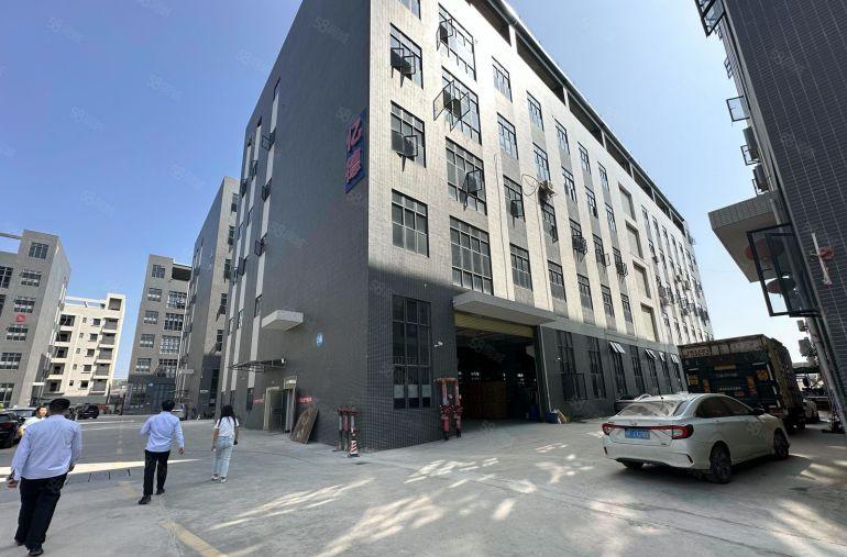 原房东园洲厂房2000平精装水电没拆除上南厂房低价出租分租