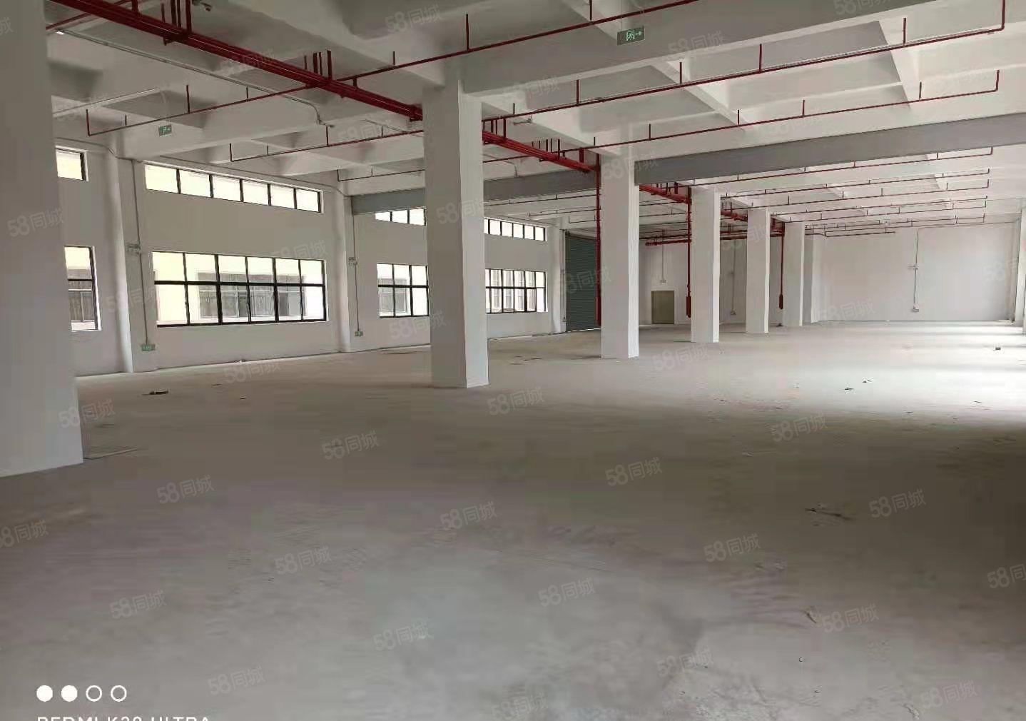 石湾大型工业园区全新14块厂房 空地很大