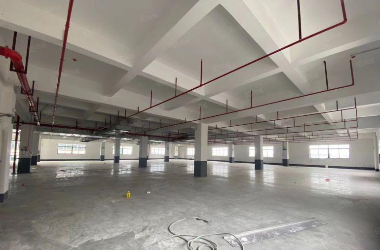 独院红本标准厂房8000平米，一楼6米高环评秒过