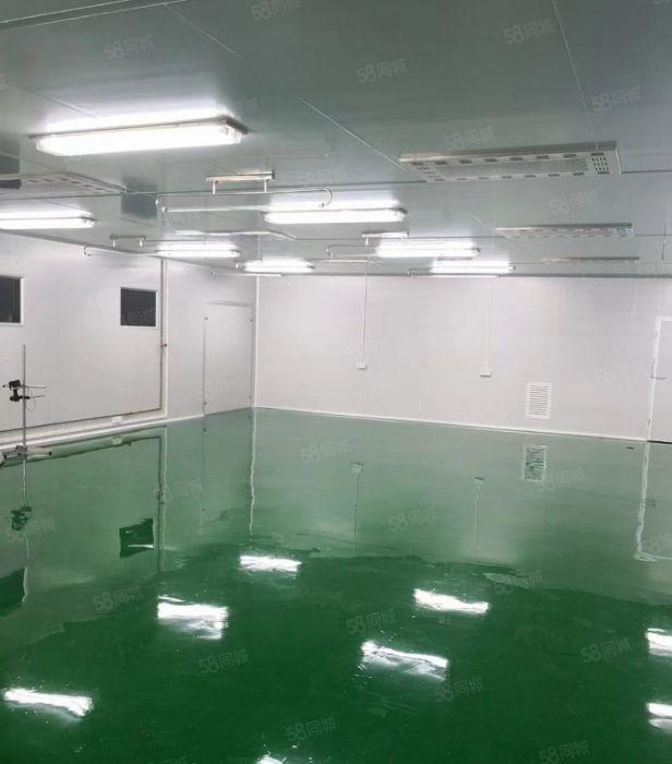 博罗罗阳现成无尘车间厂房3100平方便宜出租