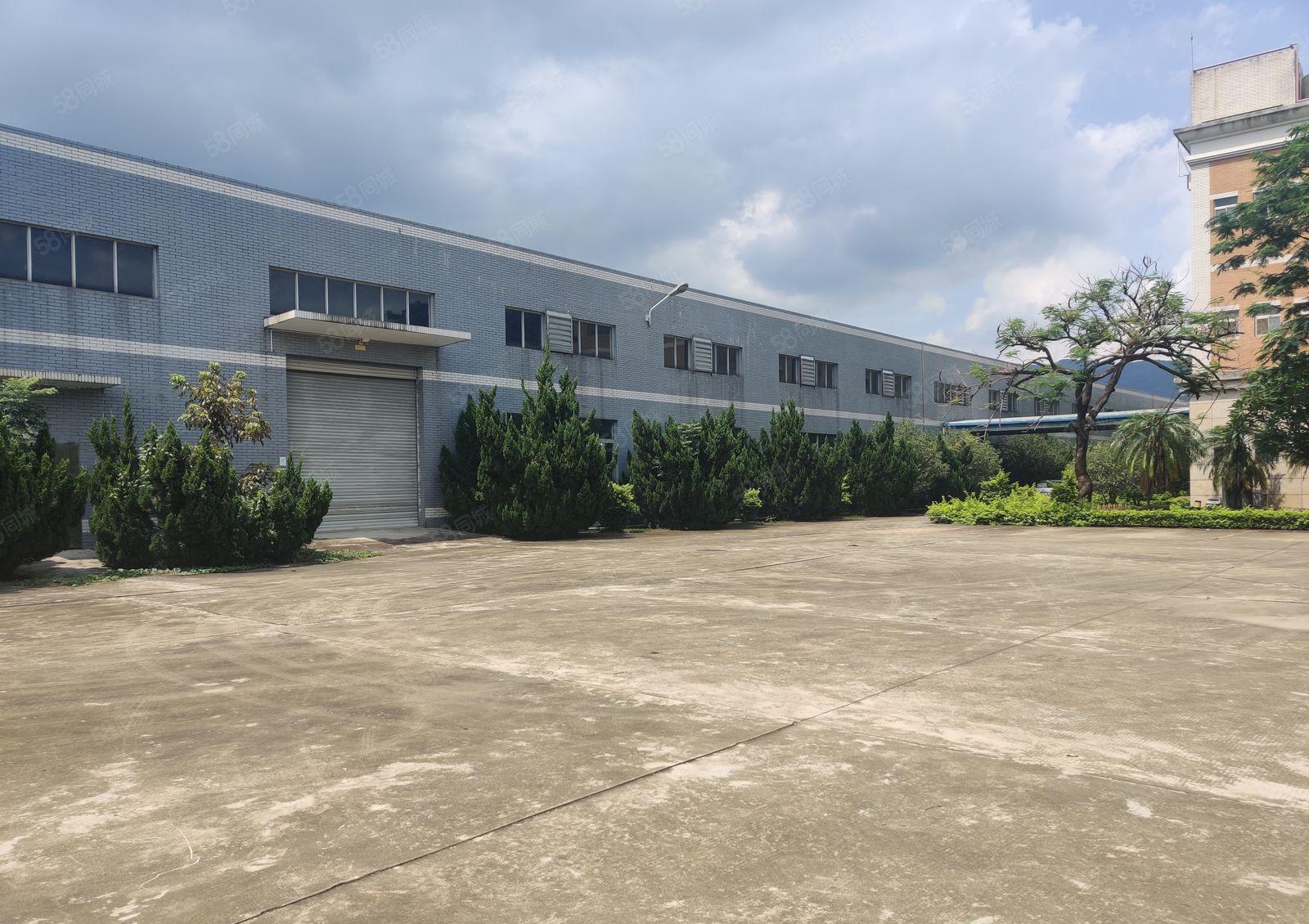 10元博罗龙溪原房东大小分租4万平单一层钢构厂房仓库一楼出租