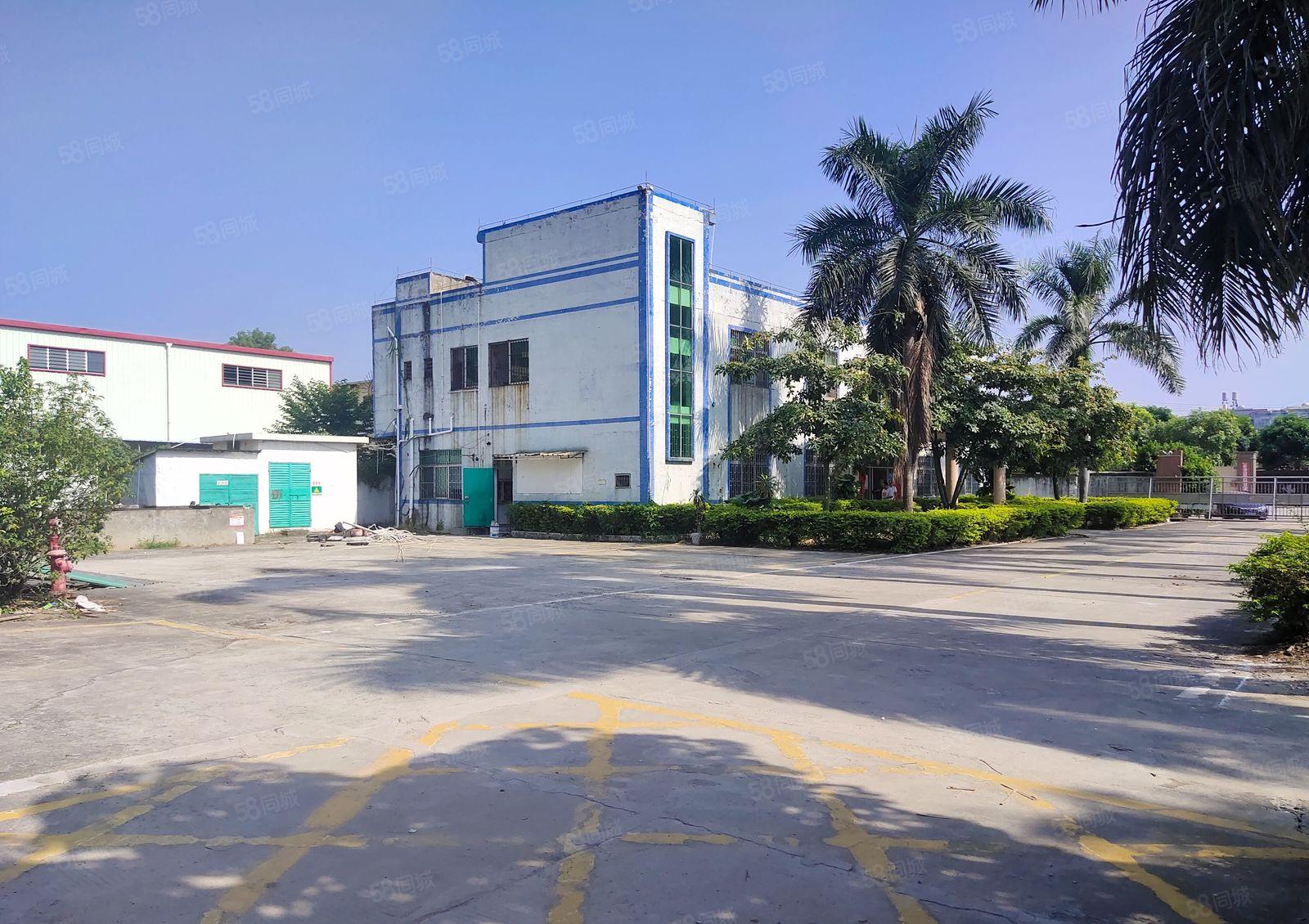 石湾镇花园式独院厂房出租4150平方，可分租，超大空地带装修