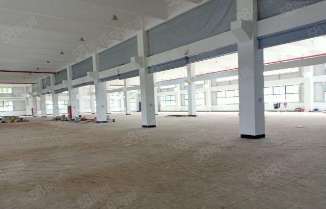博罗石湾标准厂房出租 无行业要求 价格优惠