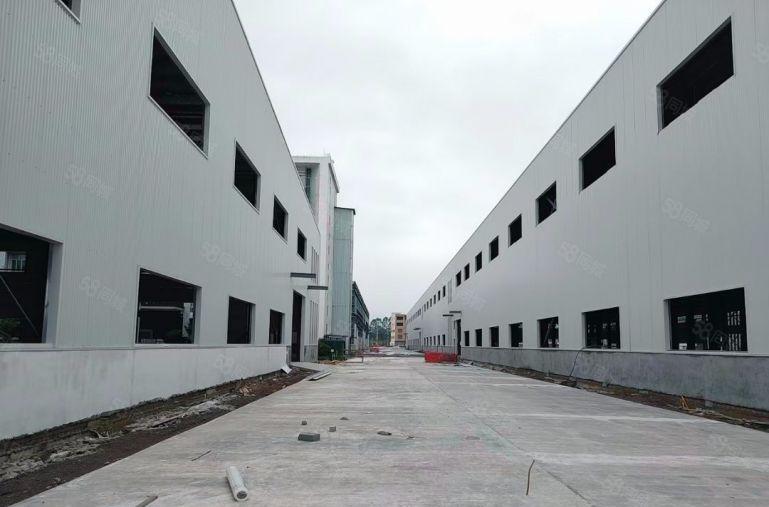 钢构厂房出租 单一层厂房出租 分租1000平方 独院厂房出租