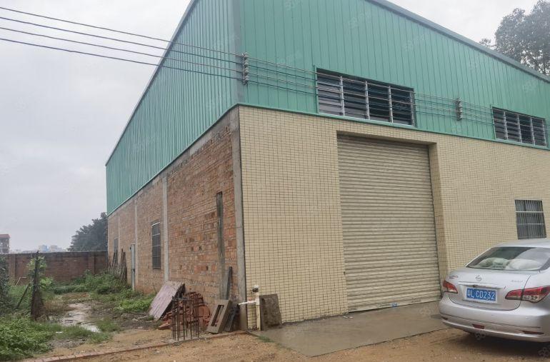 园洲镇原房东滴水8米单一层350平出租