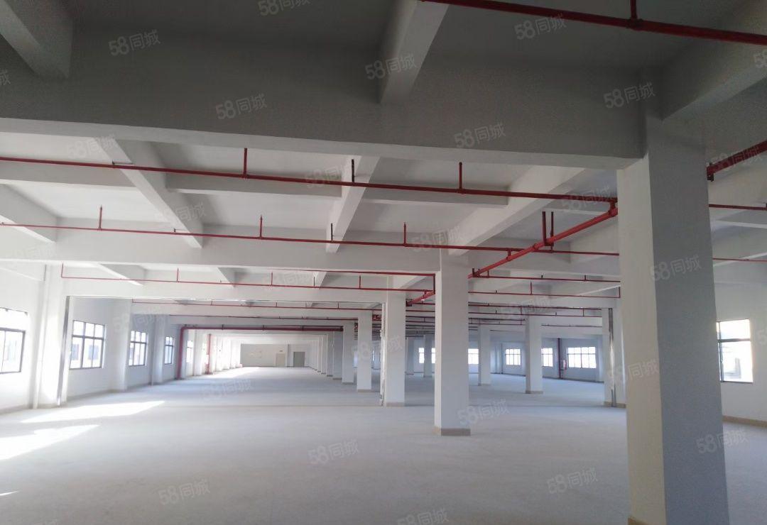 博罗县石湾科技园 红本双证独院标准厂房出租