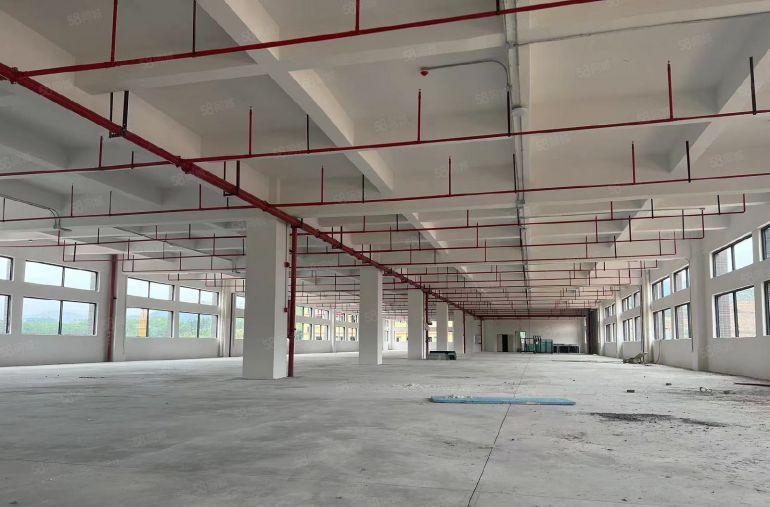 博罗独院标准厂房一楼7.8米一手房东仅租7元房东负责装修