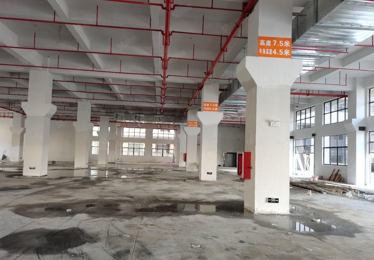 （临广州）惠州石湾科技园全新标准厂房35000平米招租