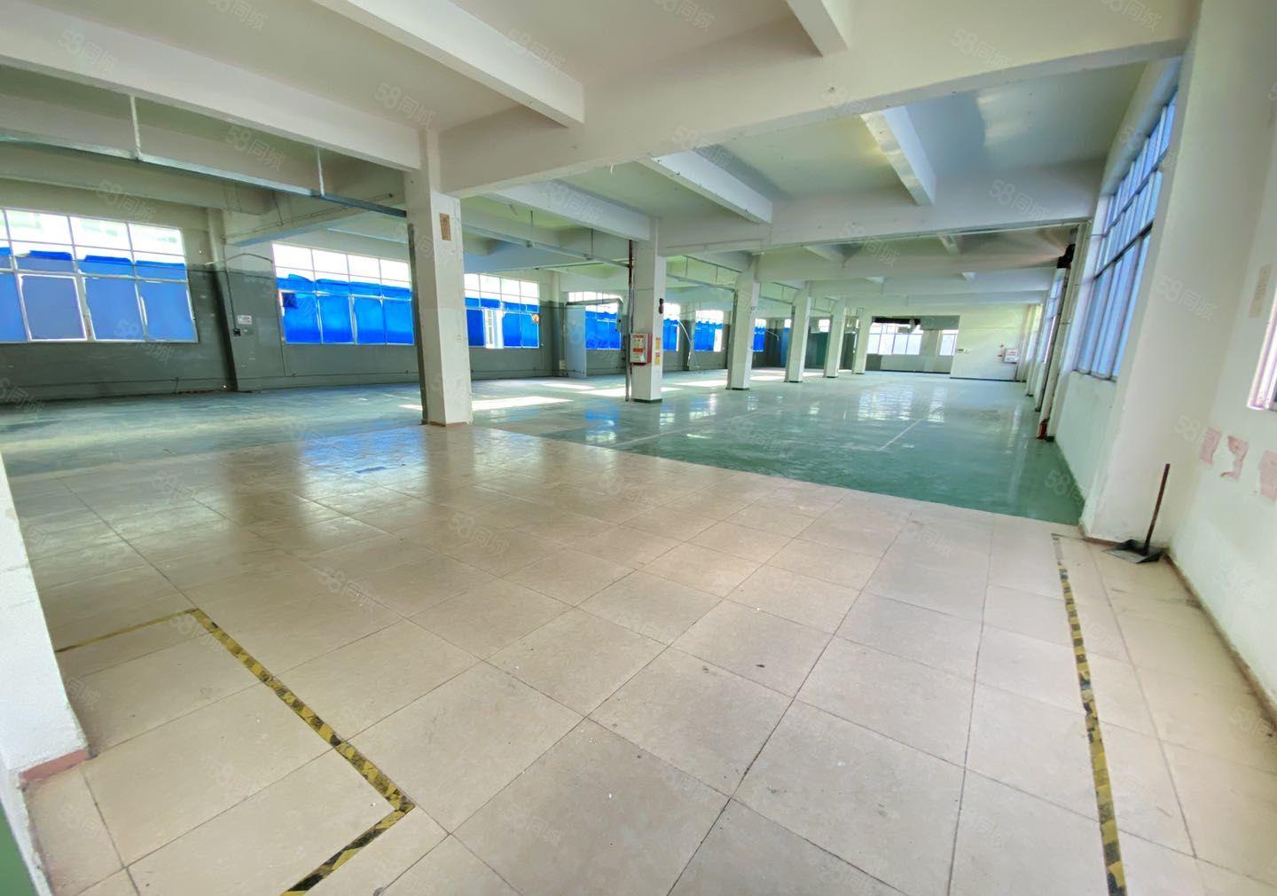 园洲工业园新空出9成新花园式独门独院红本在手原房东