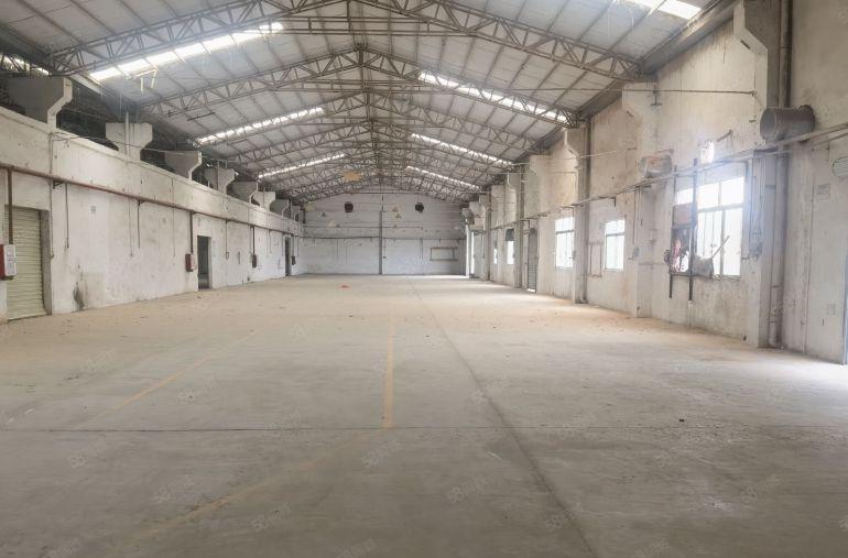 园洲镇多个钢构厂房300平，500平，800平，1000平