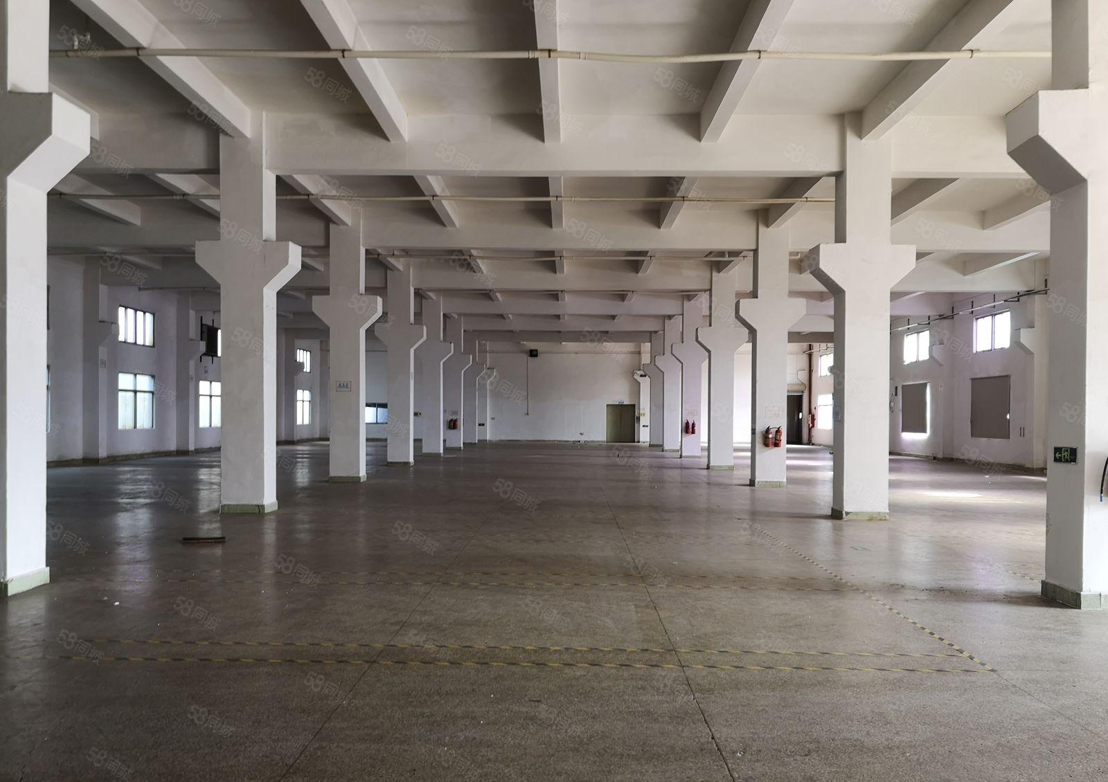 石湾镇原房东独院10000平标准厂房出租 园区空地大可办环评