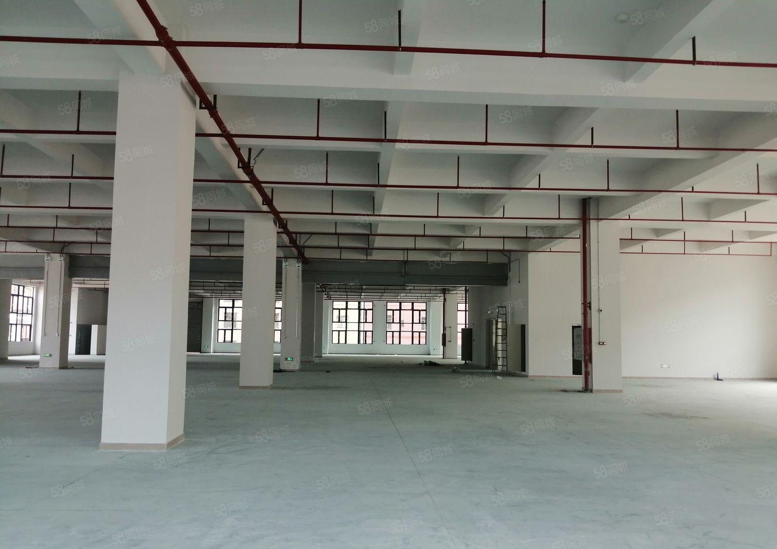 石湾镇全新标准厂房20,100平方（可分租）