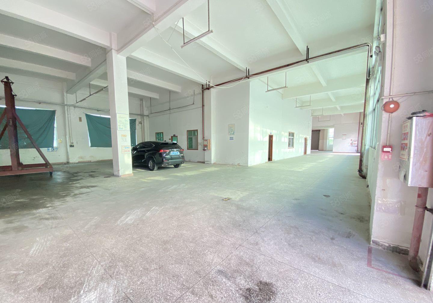 园洲工业园新空出9成新花园式独门独院红本在手原房东