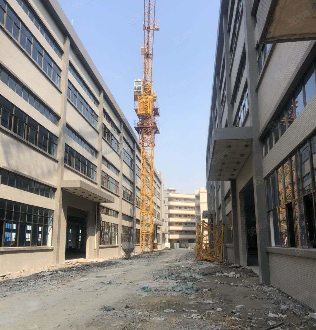 惠州市博罗县龙溪镇高速路口旁原房东独门独院全新标准厂房招租