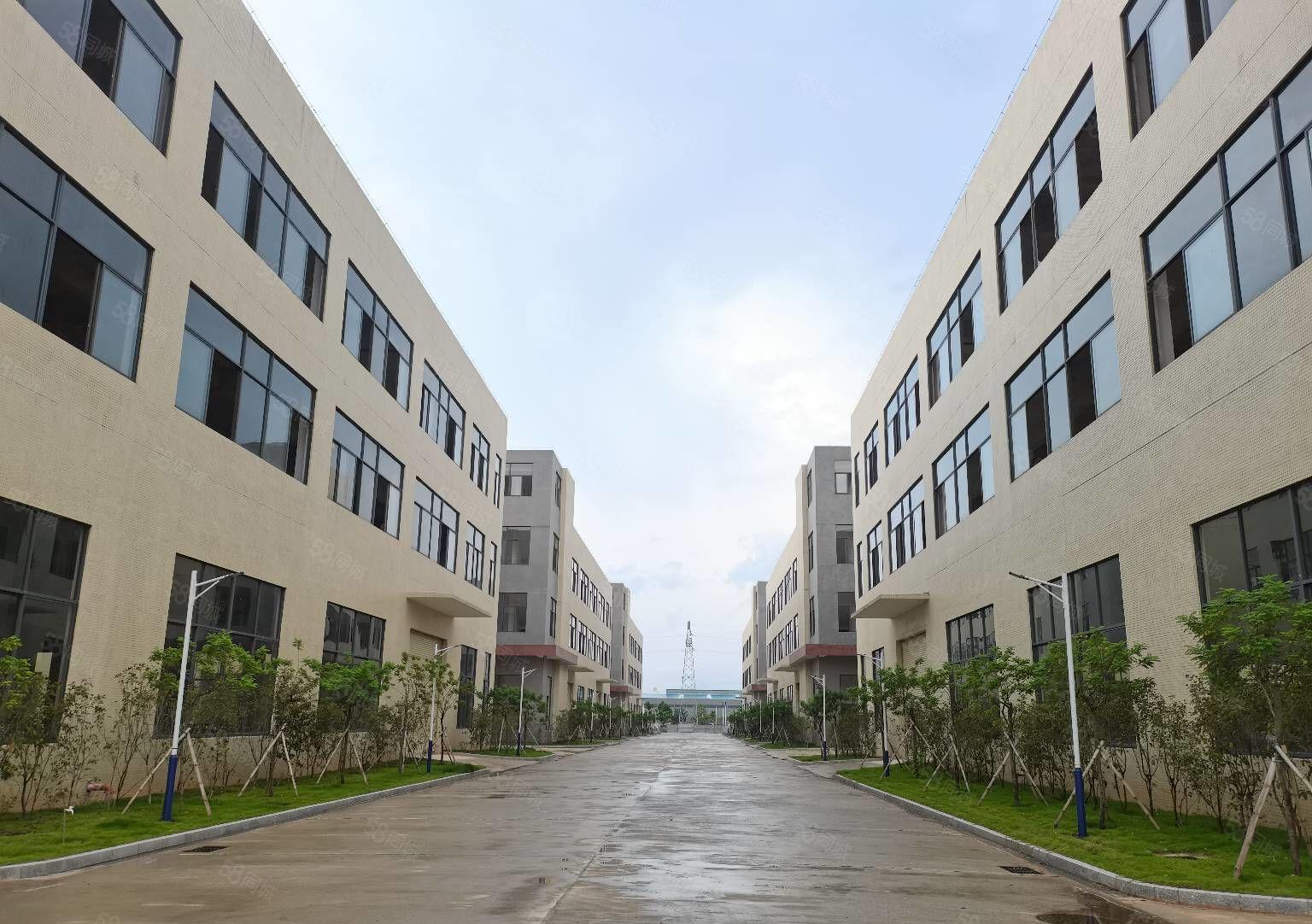 博罗重工业红本厂房全新装修交通方便按需分租700平2000